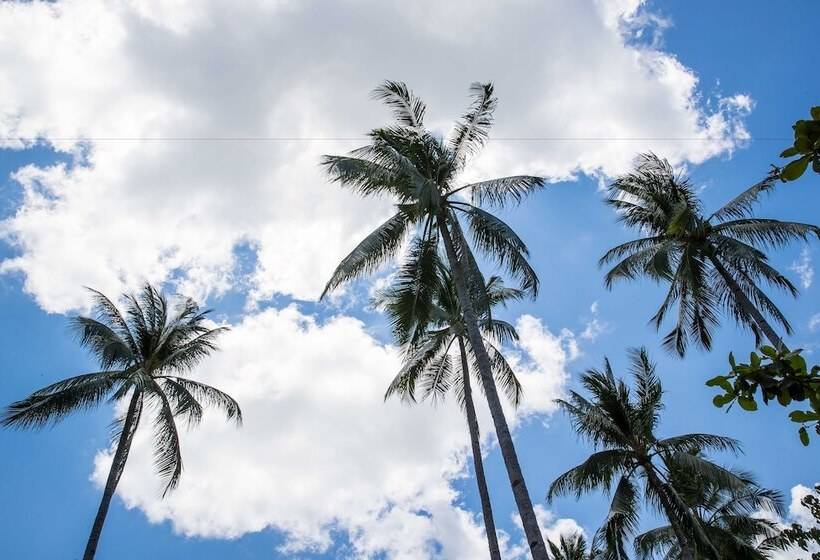 تختخواب و صبحانه Last Frontier Beach Resort Adults Only