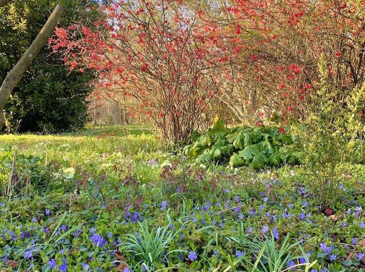 مبيت وإفطار Le Moulin Du Port