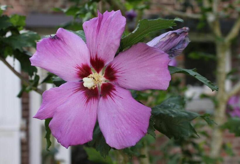 ベッドアンドブレックファースト L'heure Bleue Gîtes Et Chambres D'hôtes