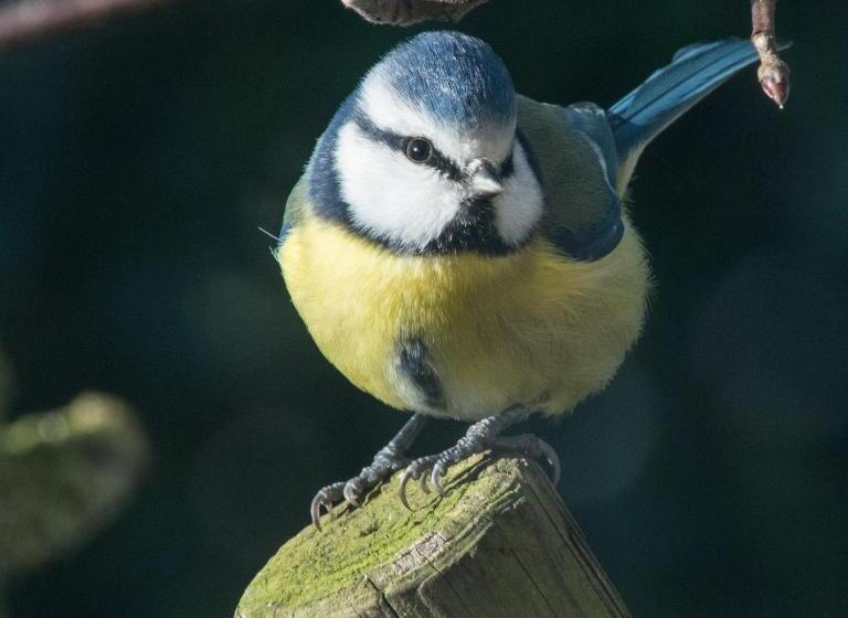 ベッドアンドブレックファースト L'heure Bleue Gîtes Et Chambres D'hôtes