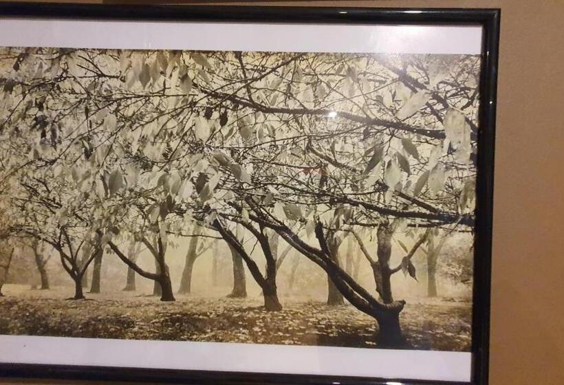 Bowral Road Art Gallery Bed And Breakfast