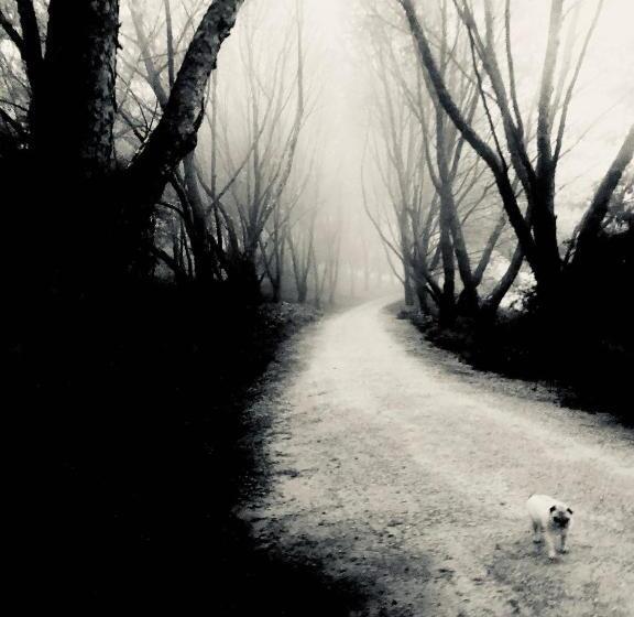 Bowral Road Art Gallery Bed And Breakfast