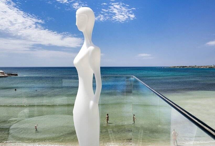 פונדק White Bay