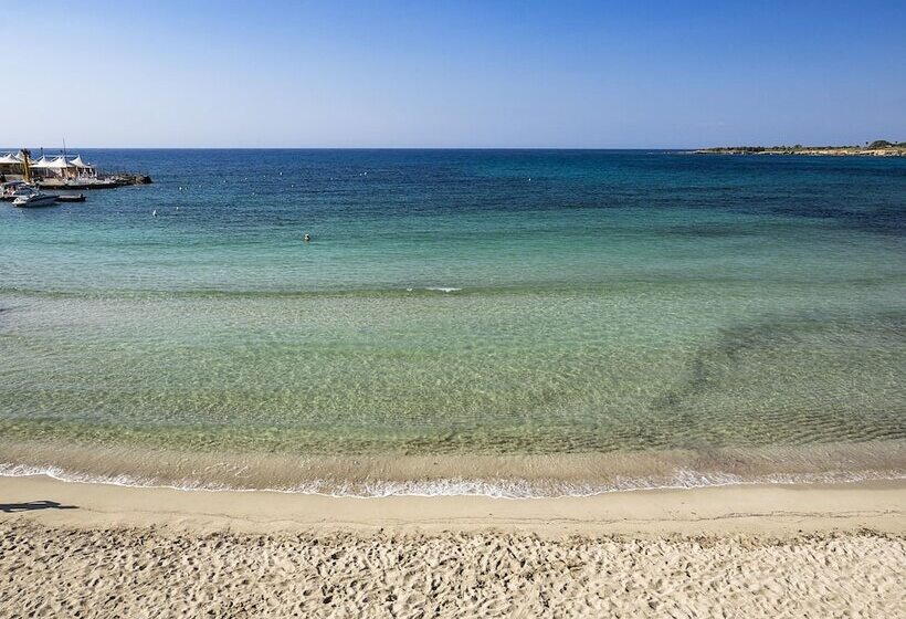 פונדק White Bay