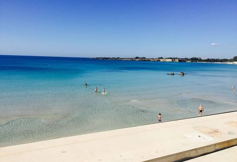 פונדק White Bay