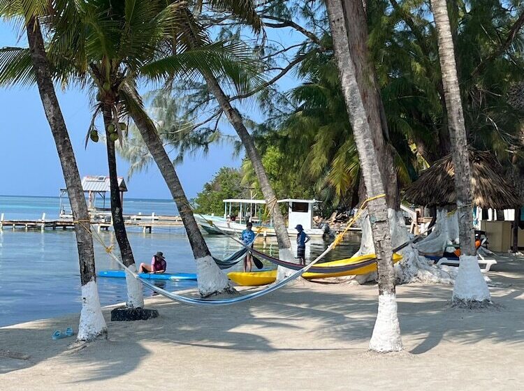 فندق Blue Marlin Beach Resort