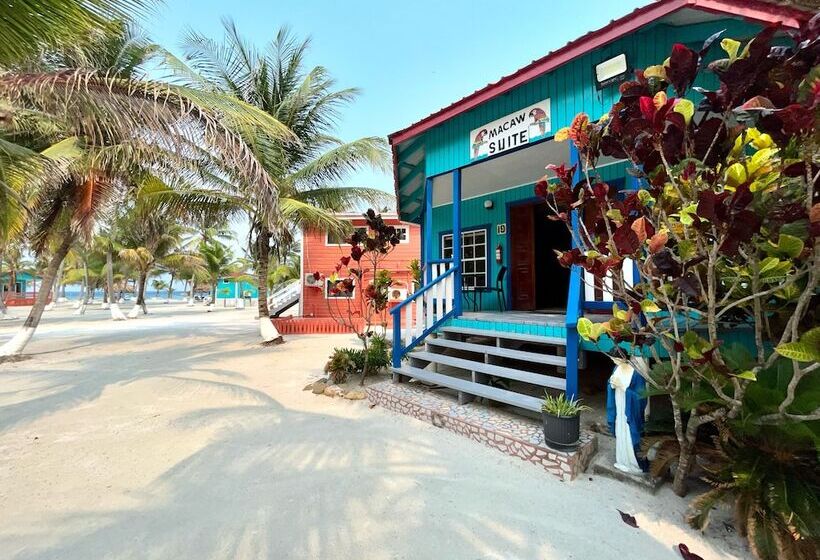 בית מלון כפרי Blue Marlin Beach Resort