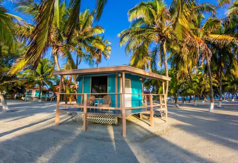 فندق Blue Marlin Beach Resort