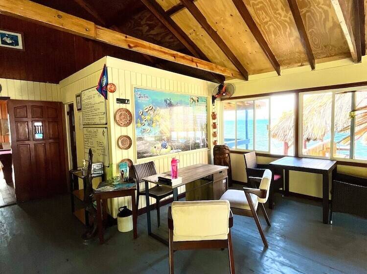 בית מלון כפרי Blue Marlin Beach Resort