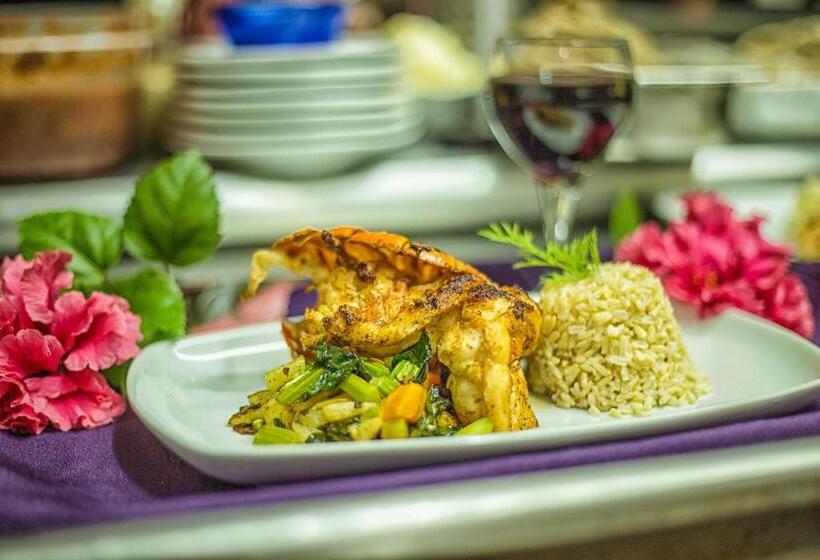 בית מלון כפרי Bocawina Rainforest Resort