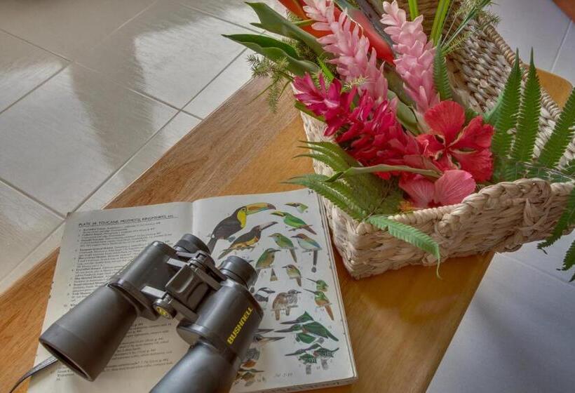 בית מלון כפרי Bocawina Rainforest Resort