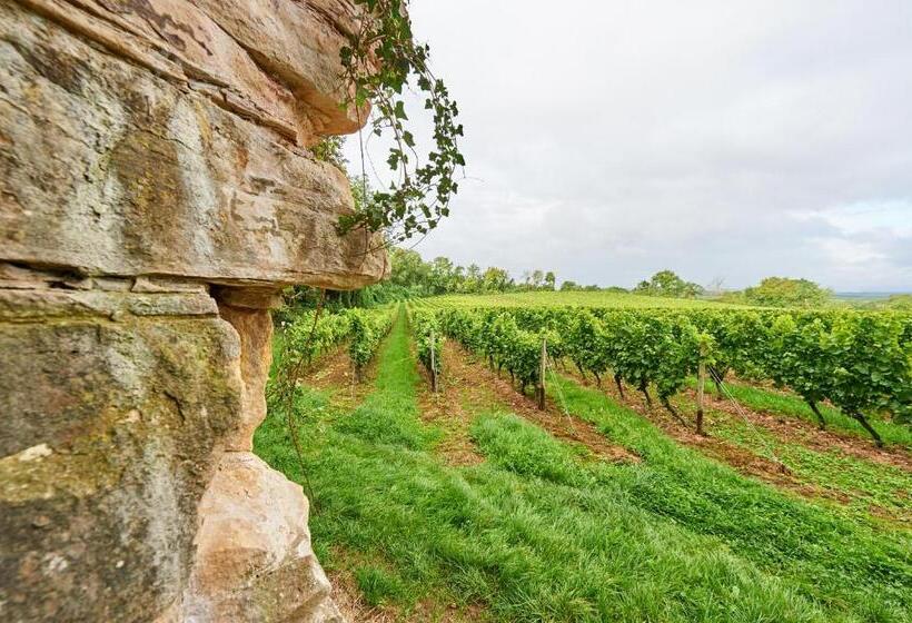 Dohlmühle Hotel & Weingut