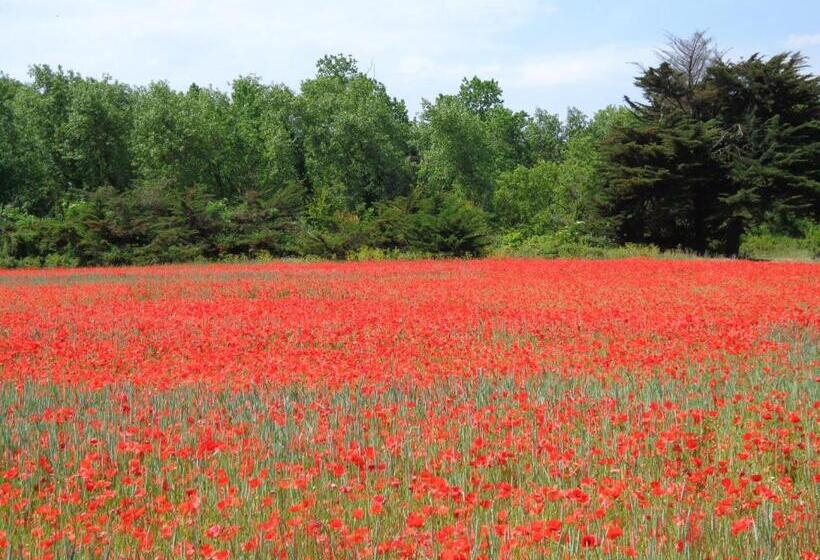 酒店 Le Chat Botté