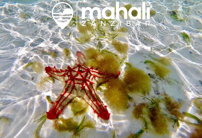 فندق Mahali Zanzibar