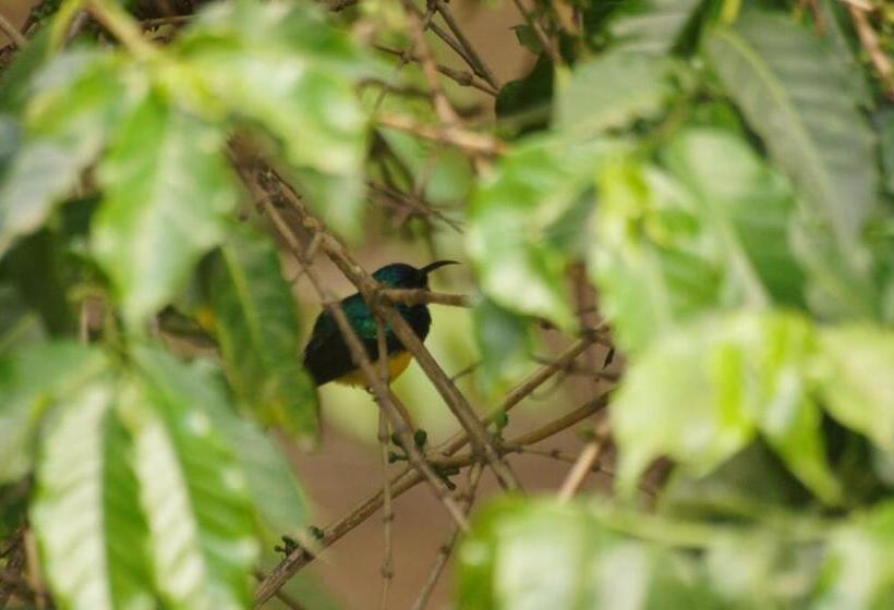 هتل Meru House Lekisilai