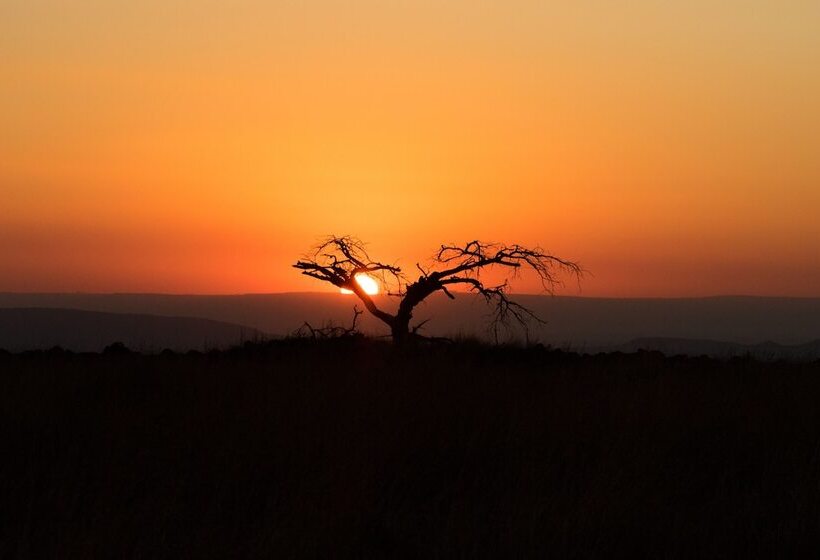 בית מלון כפרי Nambiti Hills Private Game Lodge