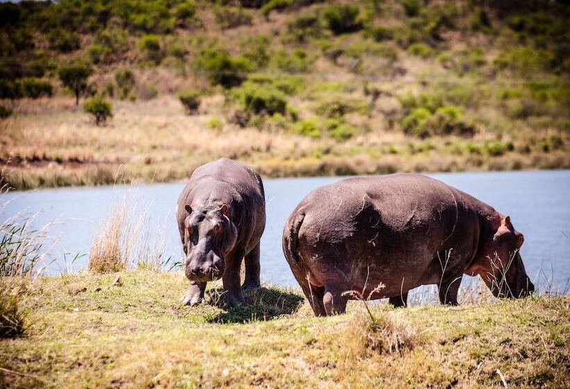 호텔 Nambiti Hills Private Game Lodge