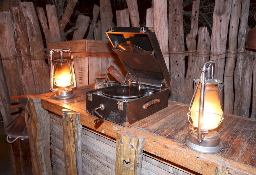 酒店 Quatermain S 1920 S Safari Camp   Amakhala Game Reserve