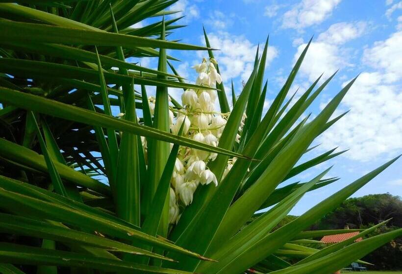 فندق Residence La Pineta