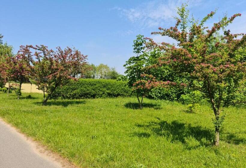 Отель Restaurant Am Worns Berg