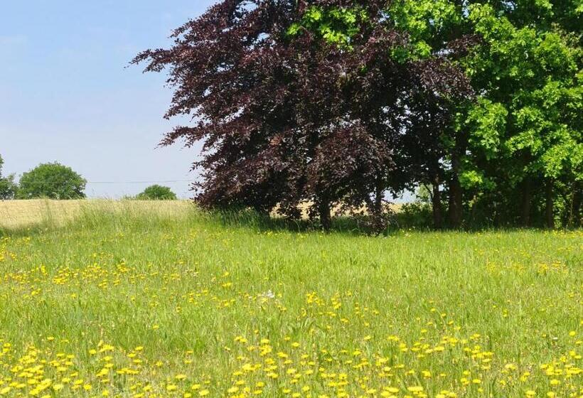 Отель Restaurant Am Worns Berg