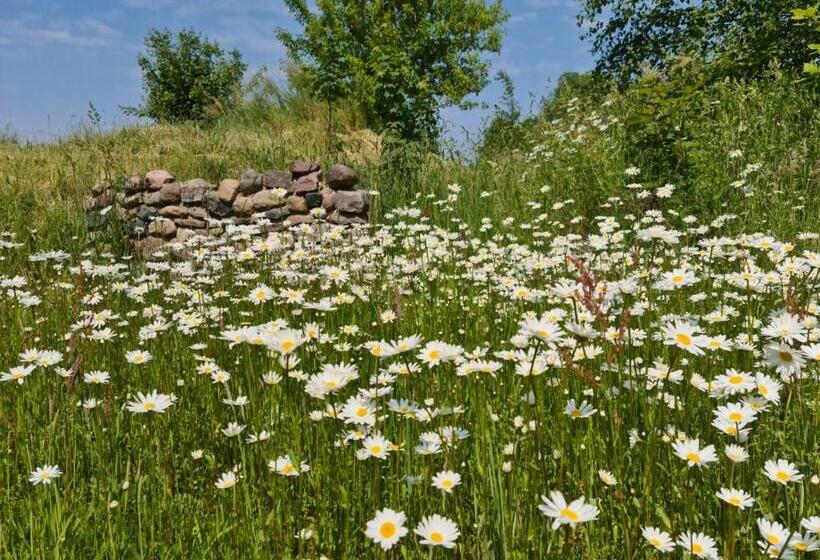 Отель Restaurant Am Worns Berg