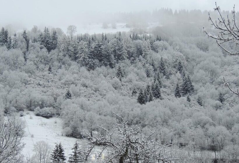 호텔 Restaurant Du Plomb Du Cantal