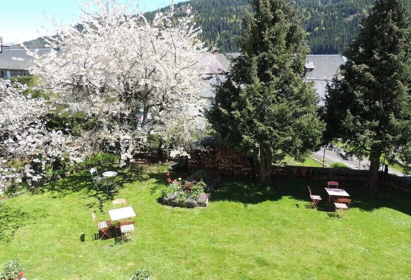 호텔 Restaurant Du Plomb Du Cantal