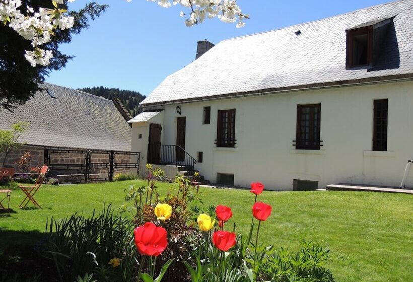 호텔 Restaurant Du Plomb Du Cantal