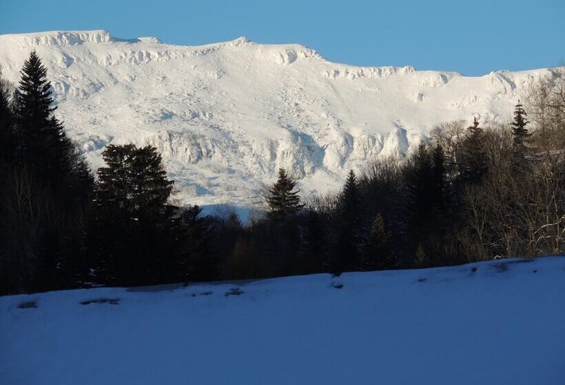 호텔 Restaurant Du Plomb Du Cantal