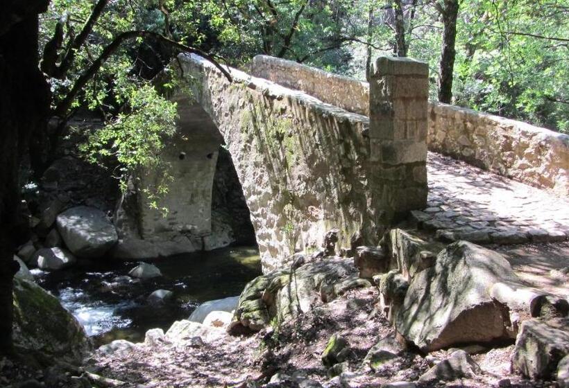 בית מלון כפרי Scopa Rossa