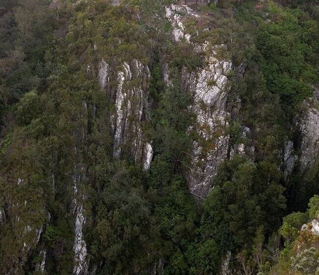 ホテル The Fernery Lodge & Spa