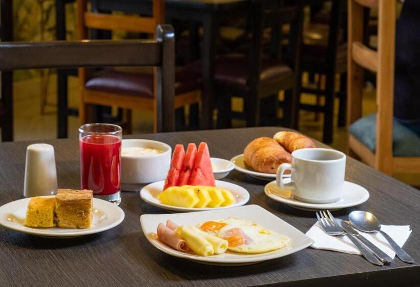 Отель Virrey Central