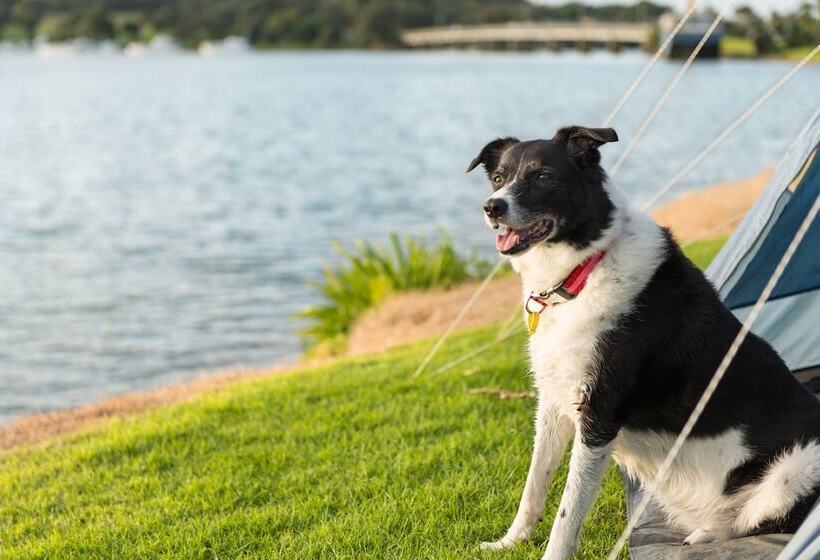 호텔 Waitangi Holiday Park