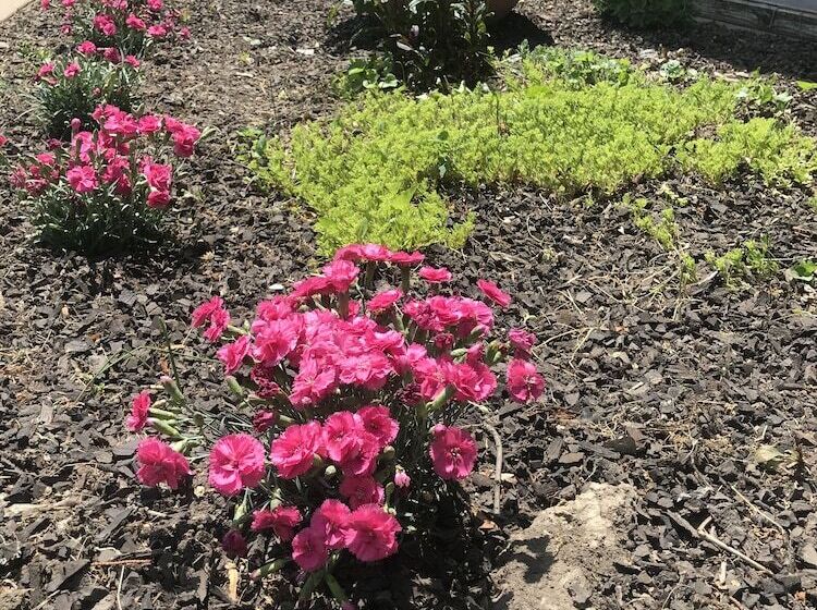 The Nauvoo Grand Bed & Breakfast