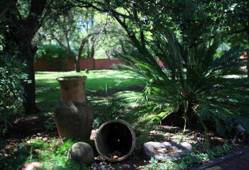 פנסיון Andante Lodge