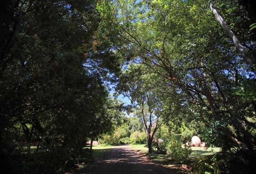 פנסיון Andante Lodge