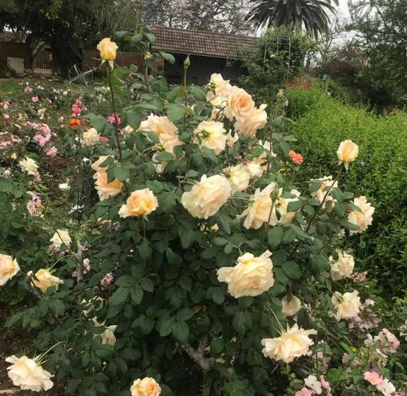 پانسیون Geralds Gift Guest House