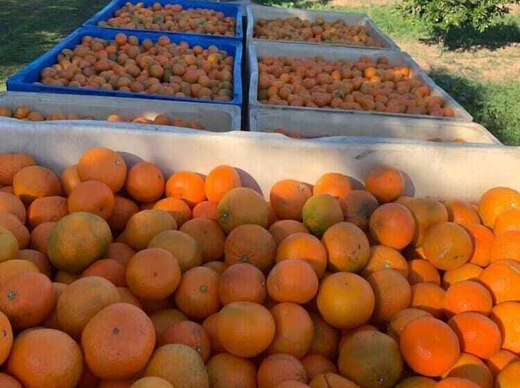 پانسیون Geralds Gift Guest House