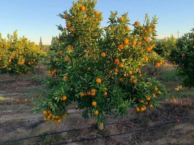 پانسیون Geralds Gift Guest House