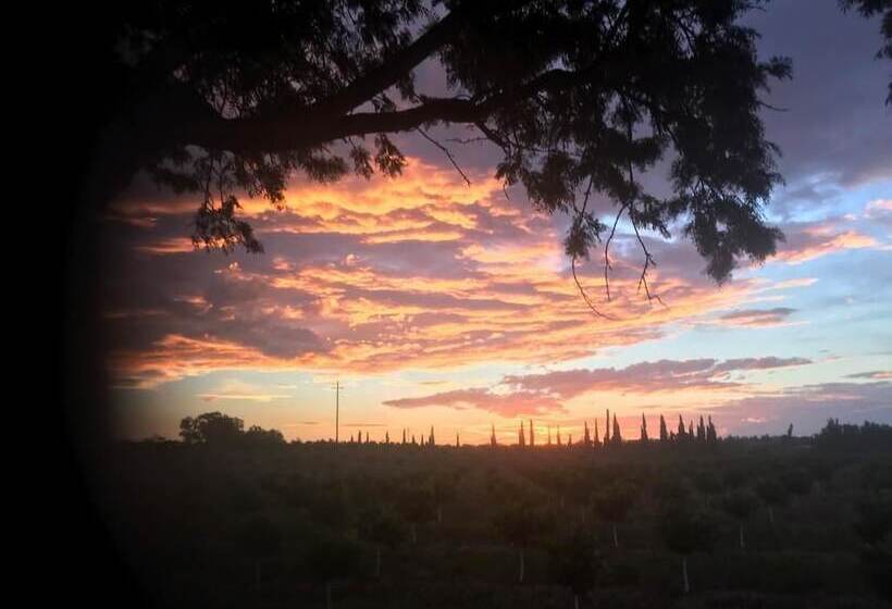 پانسیون Geralds Gift Guest House