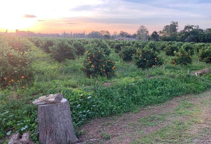 پانسیون Geralds Gift Guest House