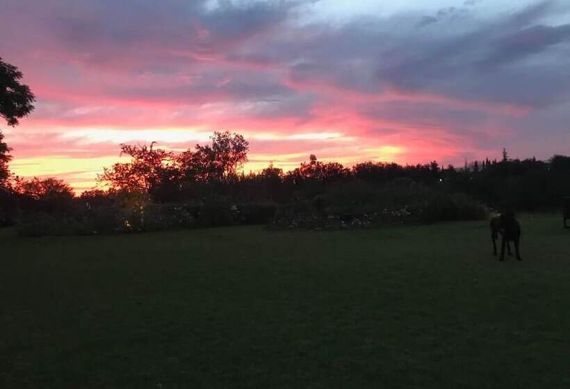 پانسیون Geralds Gift Guest House