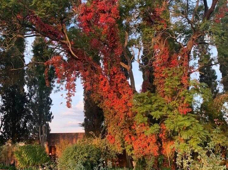 پانسیون Geralds Gift Guest House