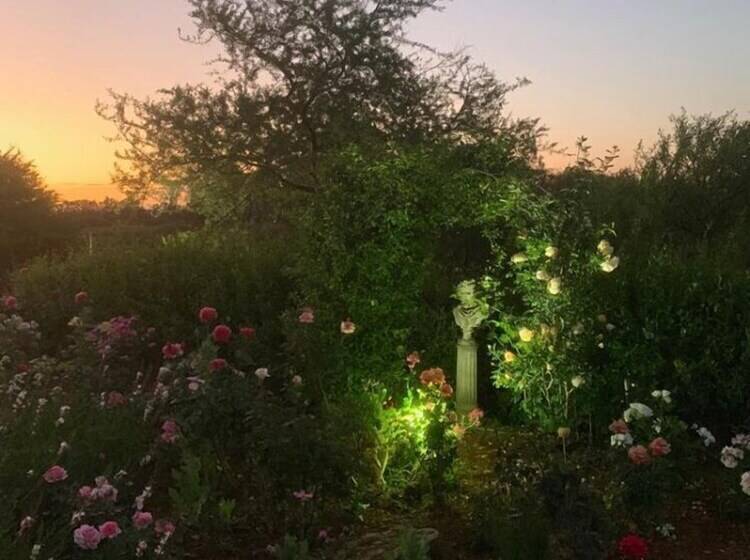 پانسیون Geralds Gift Guest House