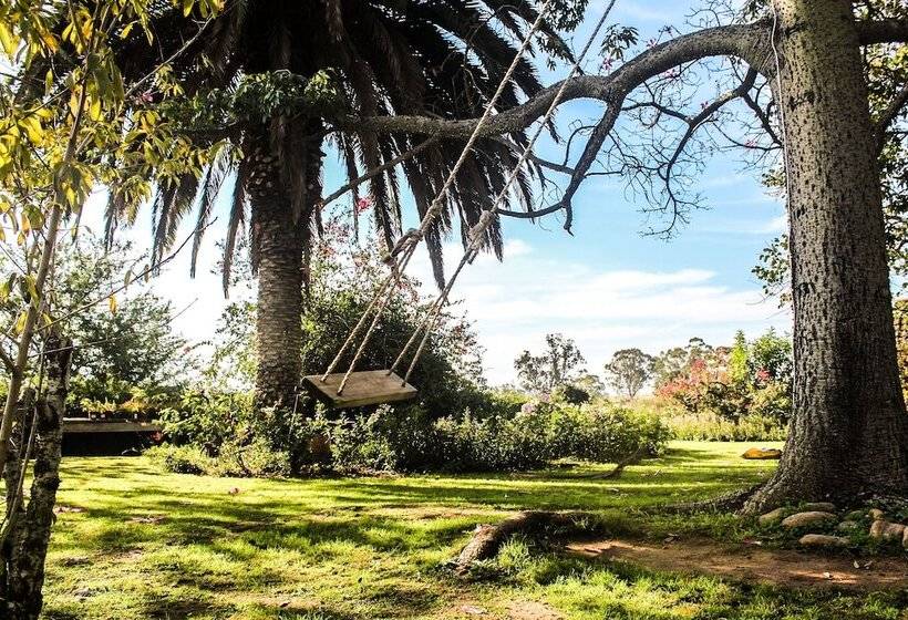 پانسیون Geralds Gift Guest House