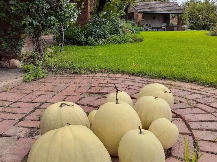 پانسیون Geralds Gift Guest House