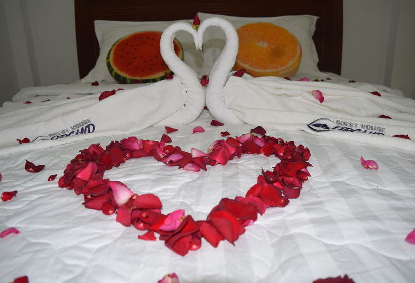 پانسیون Orchid Guest House Phu Quoc