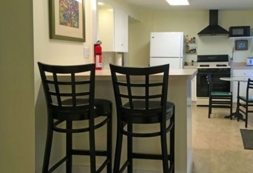 بنسيون The Market Street Inn