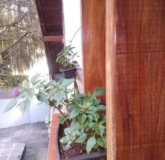 Petit Hotel Caraguata